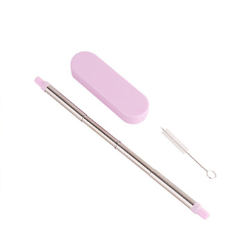 Stainless Collapsible Metal Straw  With Plastic Case