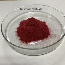 Poudre de picolinate de chrome/sel de chrome d&#39;acide picolinique