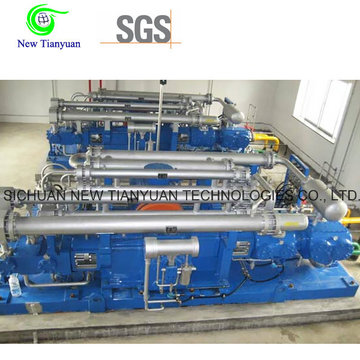 850nm3h Gasversorgung CNG Kompressor Erdgas Kompressor