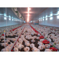 Poultry Farm Machinery with High Quality and Low Price for One Stop Service