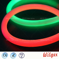 Neon rope LED flex light for garden decoration