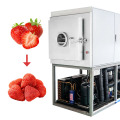 Strawberry Vacuum Freeze Drying Machine