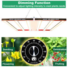 Professional Led Grow Light Spider for Medical Plant