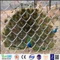 Galvanized Chain Link Fence