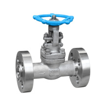 API Forged Stainless Steel Gate Valve with Satellite
