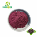 Mulberry Powder