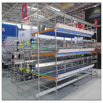 China Supplier Poultry Equipment Wholesale Cages d&#39;oiseaux pour l&#39;élevage de poulets à poulet
