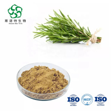 Rosemary Extract Rosmarinic Powder Food Supplement