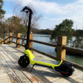 Armazém Elétrico de Scooter Europa