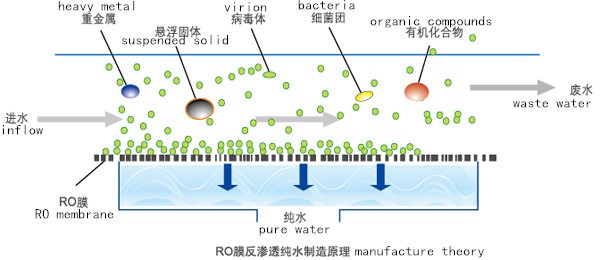 ro membrane