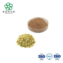 Dry Fennel Seeds Extract Powder Plant Placenta Extract