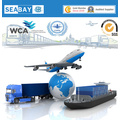 Door to Door Service to Singapore Sea Freight/Ocean Freight/Air Freight/Shipping Service