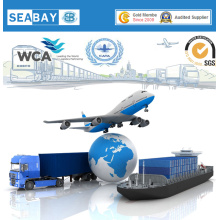 Door to Door Service to Singapore Sea Freight/Ocean Freight/Air Freight/Shipping Service