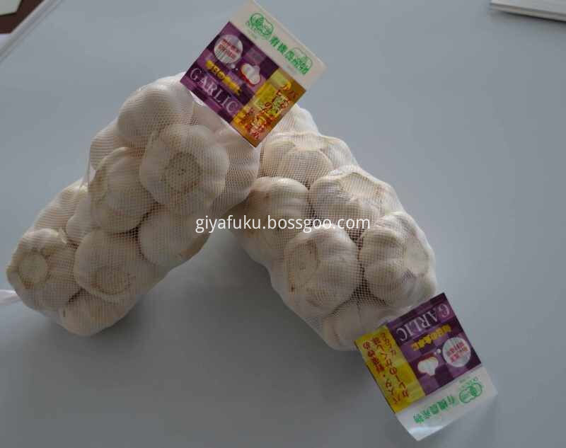 White Garlic Professional Exporter