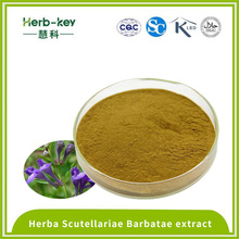 Ratio 10: 1 contenía extracto de flavonoide scutellariae Barbatae