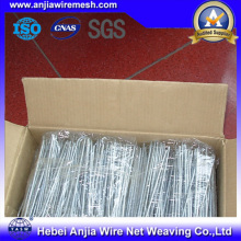 Hot Dipped Galvanized Straight Cut Wire for Building Materials with SGS