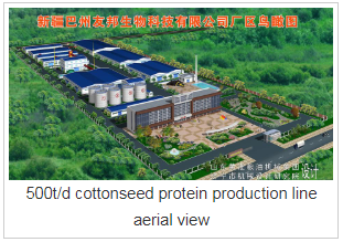 Cottonseed Protein Production Line 