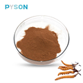 Cordyceps Mycélium Poudre 7% UV