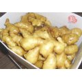 Carton Packing Good Quality Fresh Ginger