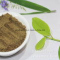 Best Price for Cumin Seeds Powder