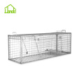 Live Trap Cage for Boar Dog Fox