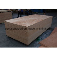 Diferentes chapas de madera contrachapada impermeable comercial