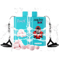 RandM Squid Box Disposable Vape Pod Wholesale Price