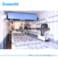 Snow world 7.5T Containerize Block Ice Machine