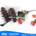 HL011 Frozen Sea Cucumber for export vacuum package