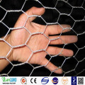 304 Mesh de fil de poulet hexagonal en acier inoxydable