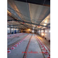 Poultry Equipment for Chicken with Feeding Pans and Nipple Drinking System