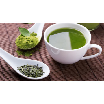 Tea Polyphenol 98% Green Tea Extract