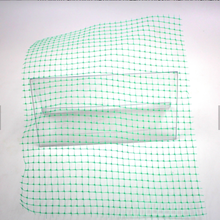 High Flexibility Green pp Plastic Net For Gardens