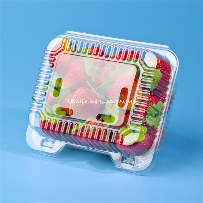 Colorful PP Blister Tray 