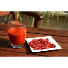 Grossista de suco concentrado Goji