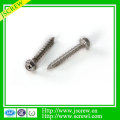 Acier inoxydable Hex Washer Head Screw