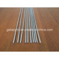 Hot Sale Titanium Seamless Capillary Tube/Pipe