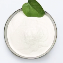 Probiotics Lactobacillus Plantarum powder