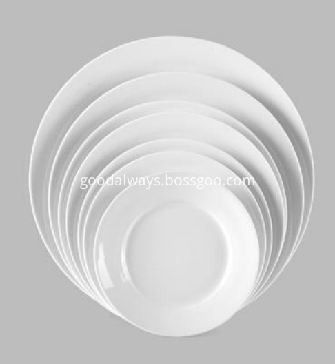 porcelain plate