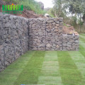 máquina de malla de alambre de gabion