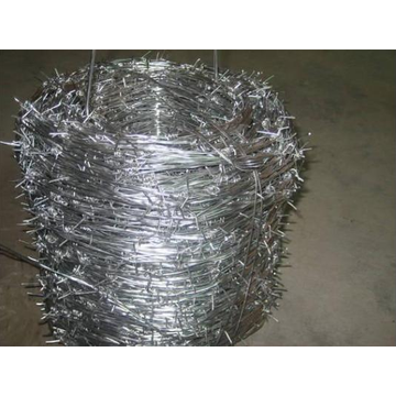 Hot Dipped Galvanized Double Barbed Wire Fence