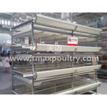 Automatic H Type Broiler Cage