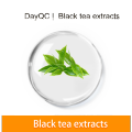 Extracto de té negro de té negro instantáneo