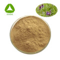 Prunella Spike Extract Powder Health Care Health Care