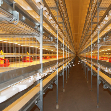 Cages de poulet automatiques pour la maison de poulet