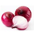 New Crop Fresh Onion Лук высшего качества