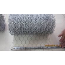 20 cm à 50 cm Largeur Hexagonal Wire Mesh