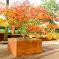 Planter en acier Corten en plein air