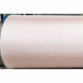 Hilo de nylon 6 de color brillante 420d