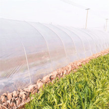 Película plástica agrícola ecológica biodegradable
